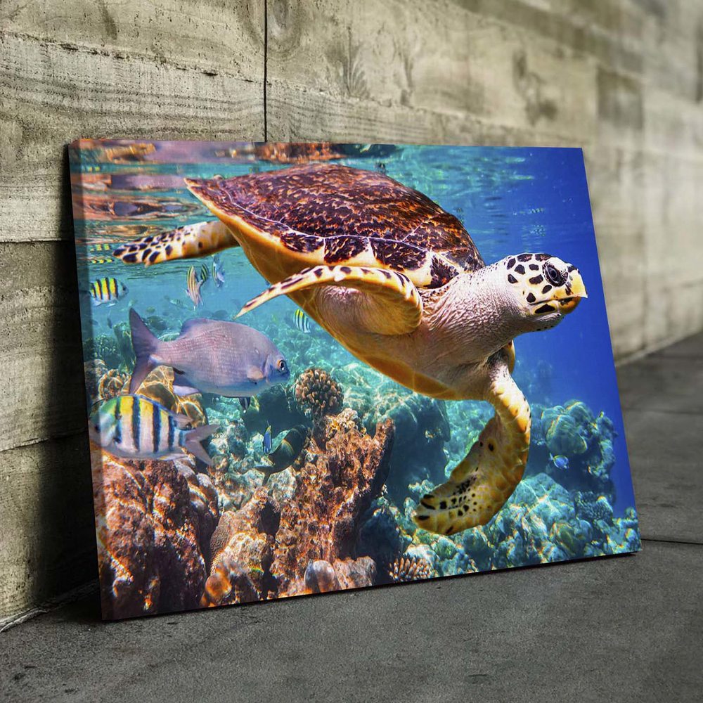 

Картина Red Panda Морское Дно 40х60