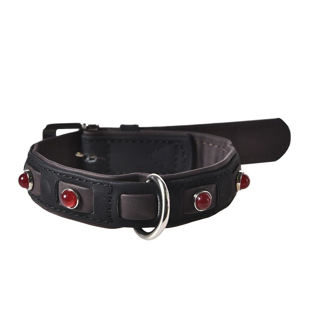 

Ошейник для собак Foxie Jewel черный L 2,5 х 40-55 см