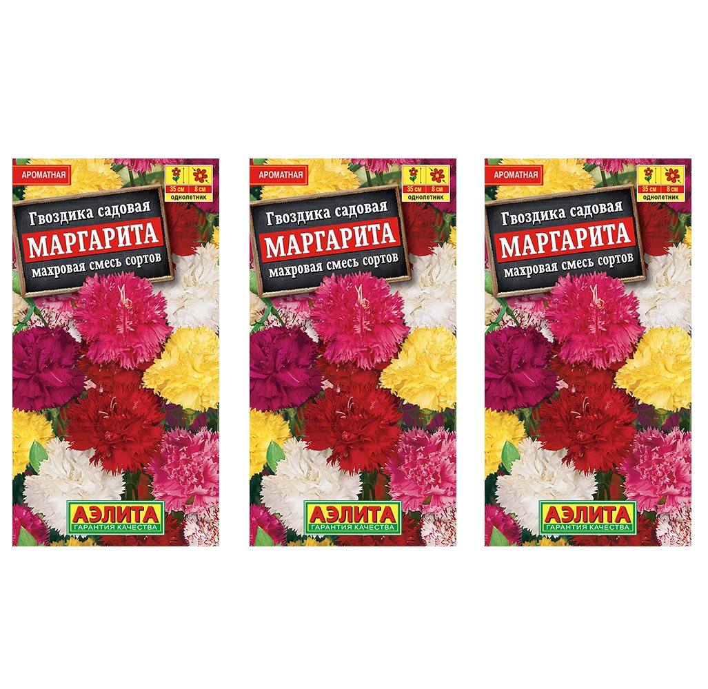 

Семена набор гвоздика Аэлита Маргарита махровая смесь сортов 93792 3 уп., Гвоздика