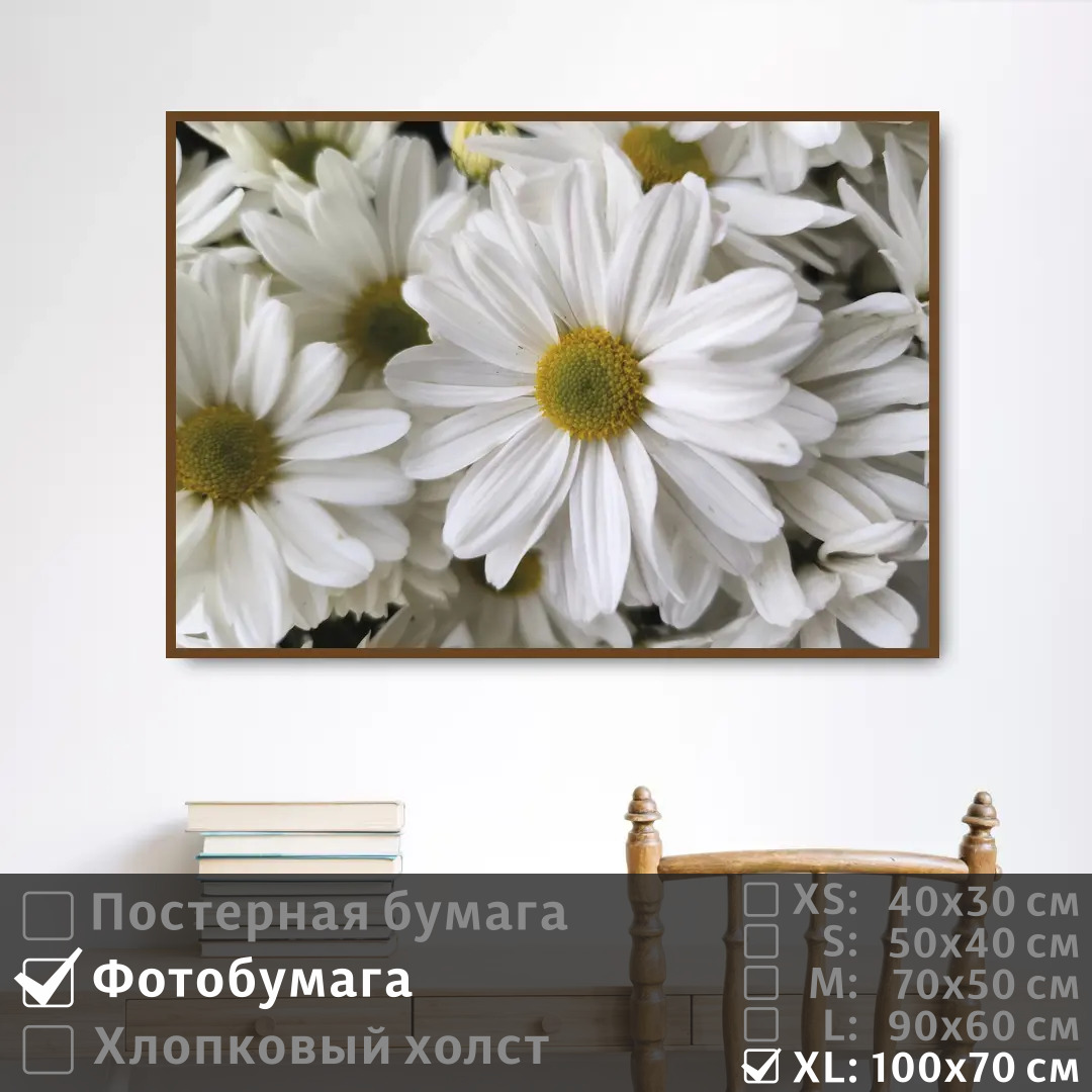 

Постер на фотобумаге ПолиЦентр Белоснежные ромашки 100х70 см, БелоснежныеРомашки1