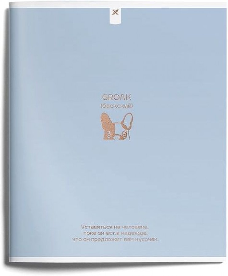 

Тетрадь общая в клетку LOREX One Tone Droll Words, 48 л., 1 шт.