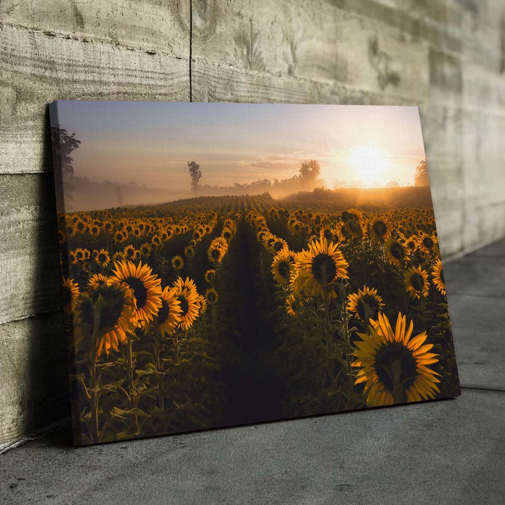 

Картина Red Panda Поле Подсолнухов 40x60