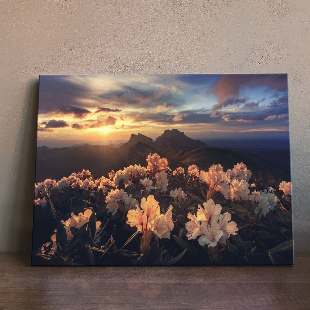 

Картина Red Panda Рассвет В Горах 40x60
