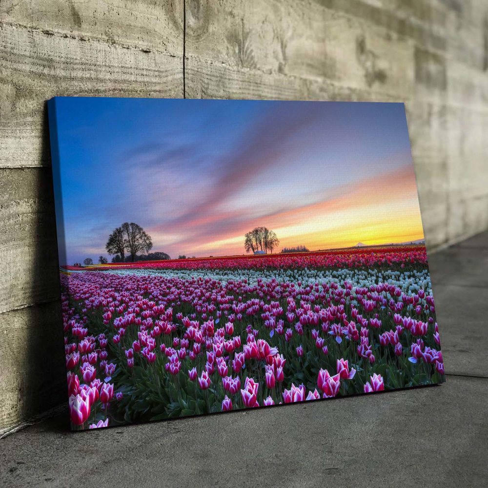

Картина Red Panda Тюльпановое Поле 40x60