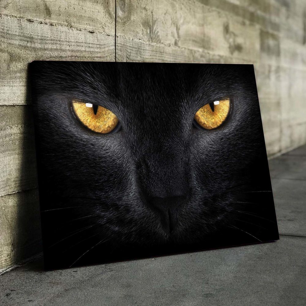 

Картина Red Panda Взгляд Кошки 40x60