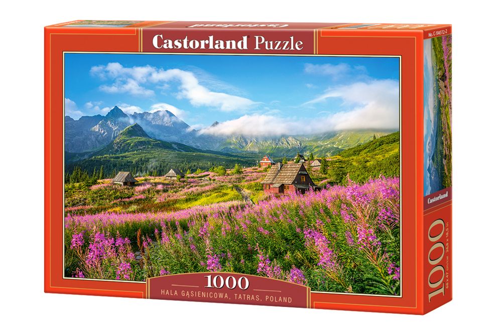 

Пазл Castorland Татры. Польша, 1000 эл. С-104512
