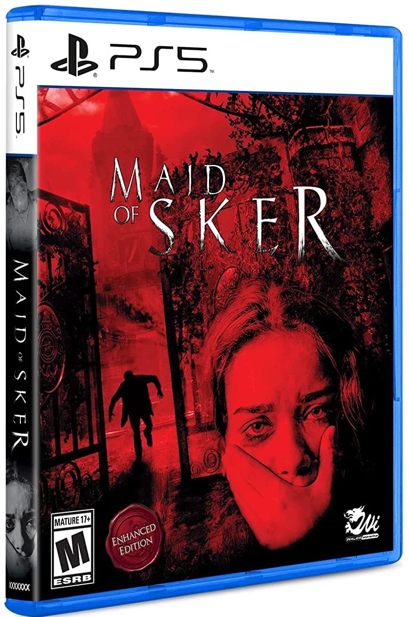 

Игра Maid of Sker (PlayStation 5, полностью на иностранном языке), Maid of Sker