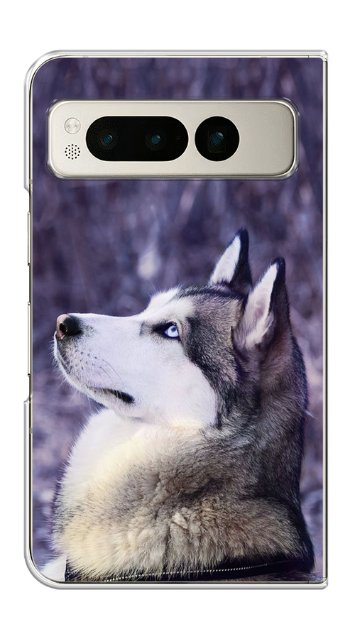 

Чехол на Google Pixel Fold "Хаски 1", Фиолетовый;белый, 271850-1