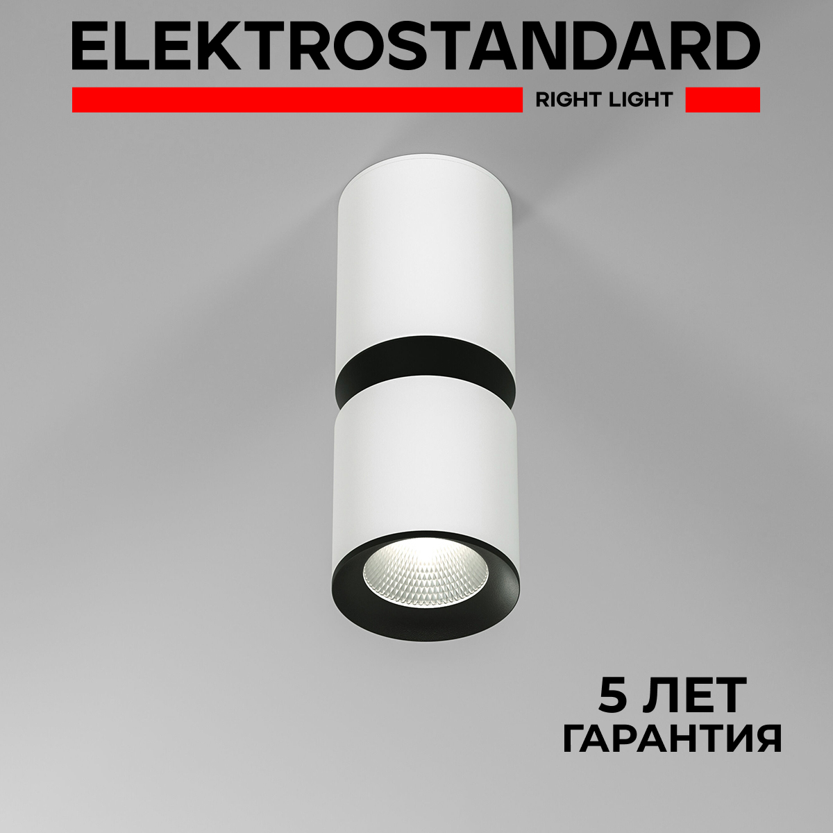

Накладной светодиодный светильник Elektrostandard Kayo 25048/LED 12W 4000К белый/чёрный, Kayo