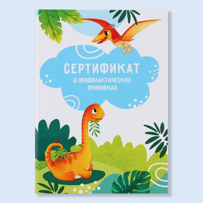 

Сертификат о профилактических прививках А6, динозавры, 24 страницы, Разноцветный