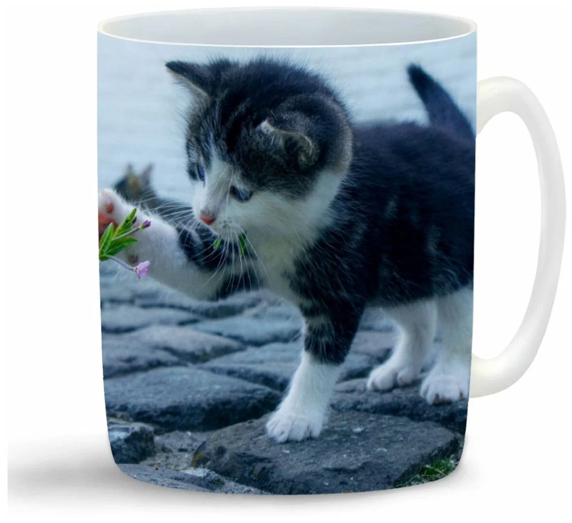 

Кружка CoolPodarok Котёнок и цветок
