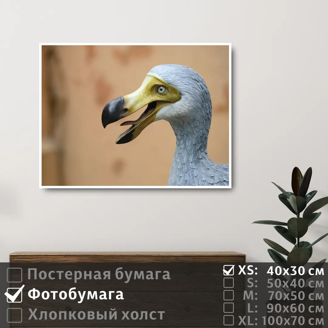 

Постер на фотобумаге ПолиЦентр Мифическая птица до до 40х30 см, МифическаяПтицаДоДо