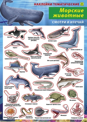 

Морские животные. Наклейки тематические
