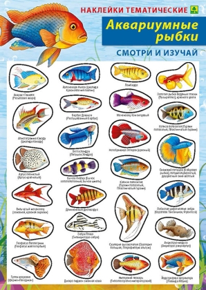 

Аквариумные рыбки. Наклейки тематические