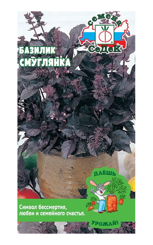 

Семена базилик СеДеК Смуглянка 64665 1 уп.