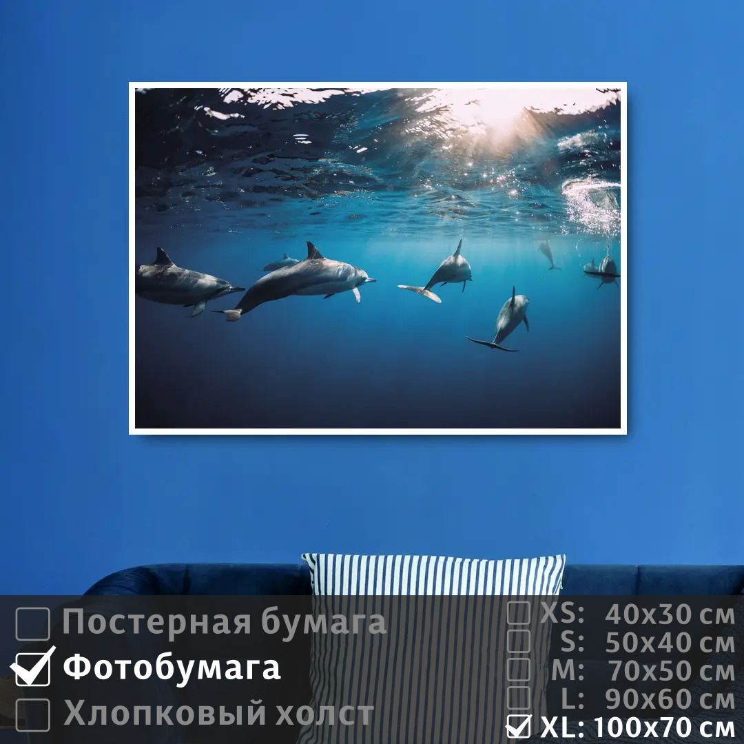 

Постер на фотобумаге ПолиЦентр Дельфины под водой плывут к солнечным лучам 100х70 см, ДельфиныПодВодойПлывутКСолнечнымЛучам1