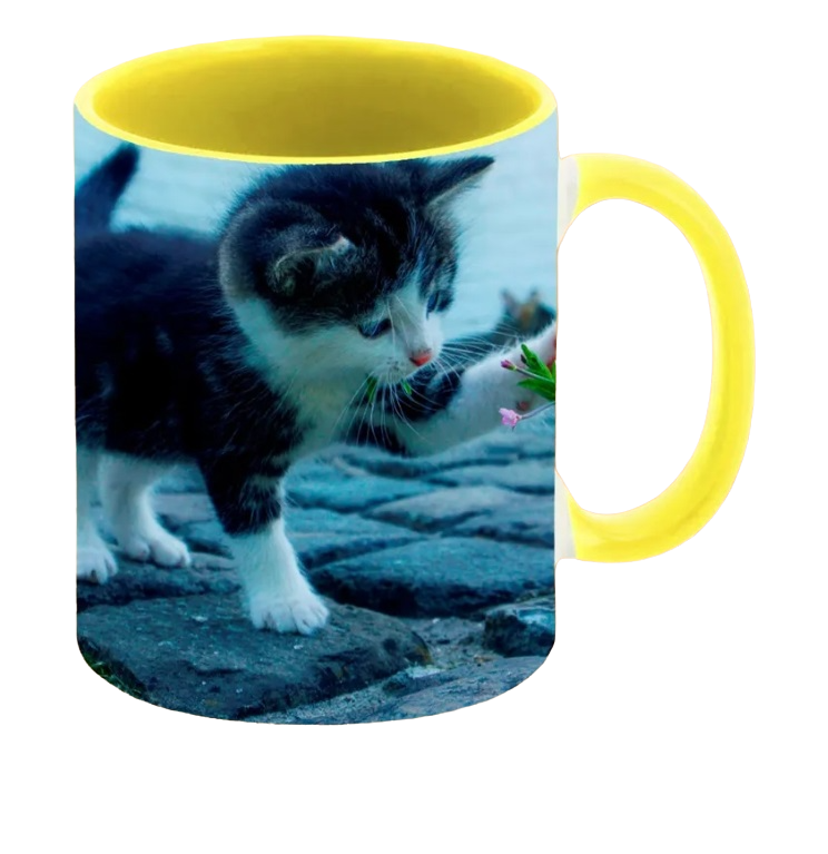 

Кружка CoolPodarok Котёнок и цветок