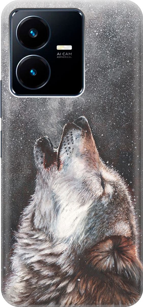 Силиконовый чехол на Vivo Y22 с принтом 