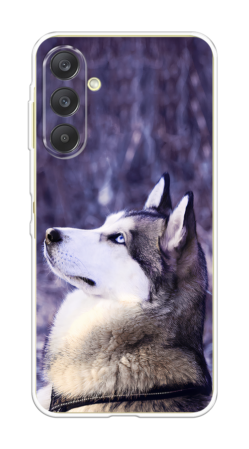 

Чехол на Samsung Galaxy A26 5G Хаски 1, Фиолетовый;белый, 2110750-1