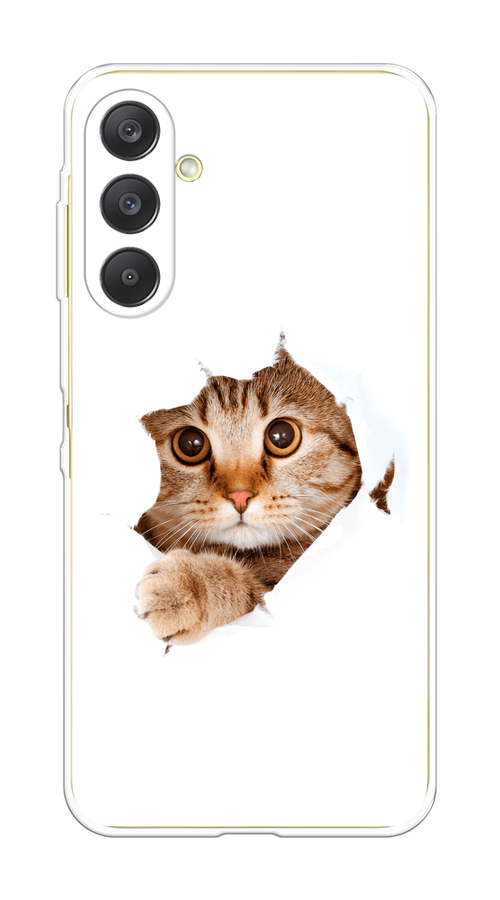 

Чехол на Samsung Galaxy A26 5G Кот и бумага, Белый;коричневый, 2110750-1