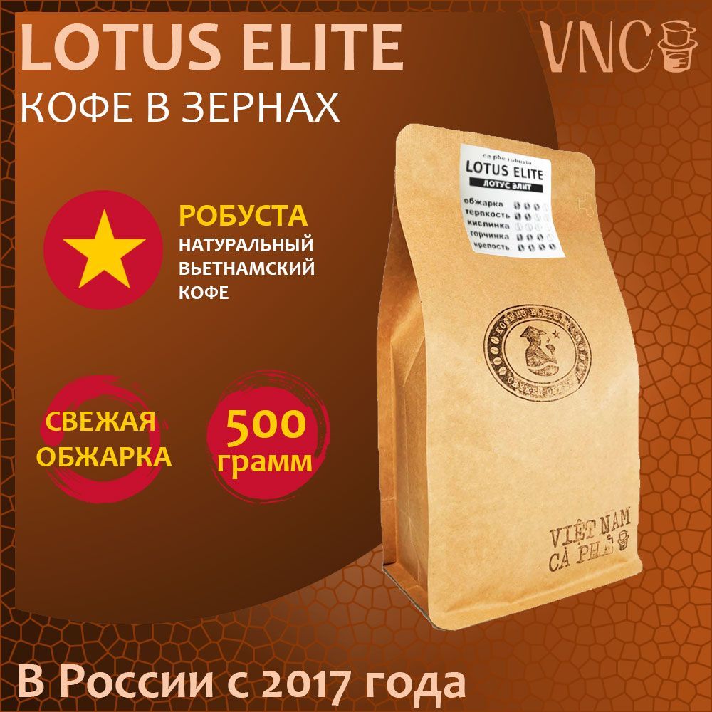Кофе в зернах VNC Lotus Elite свежая обжарка, премиальная робуста из Вьетнама, 500 г