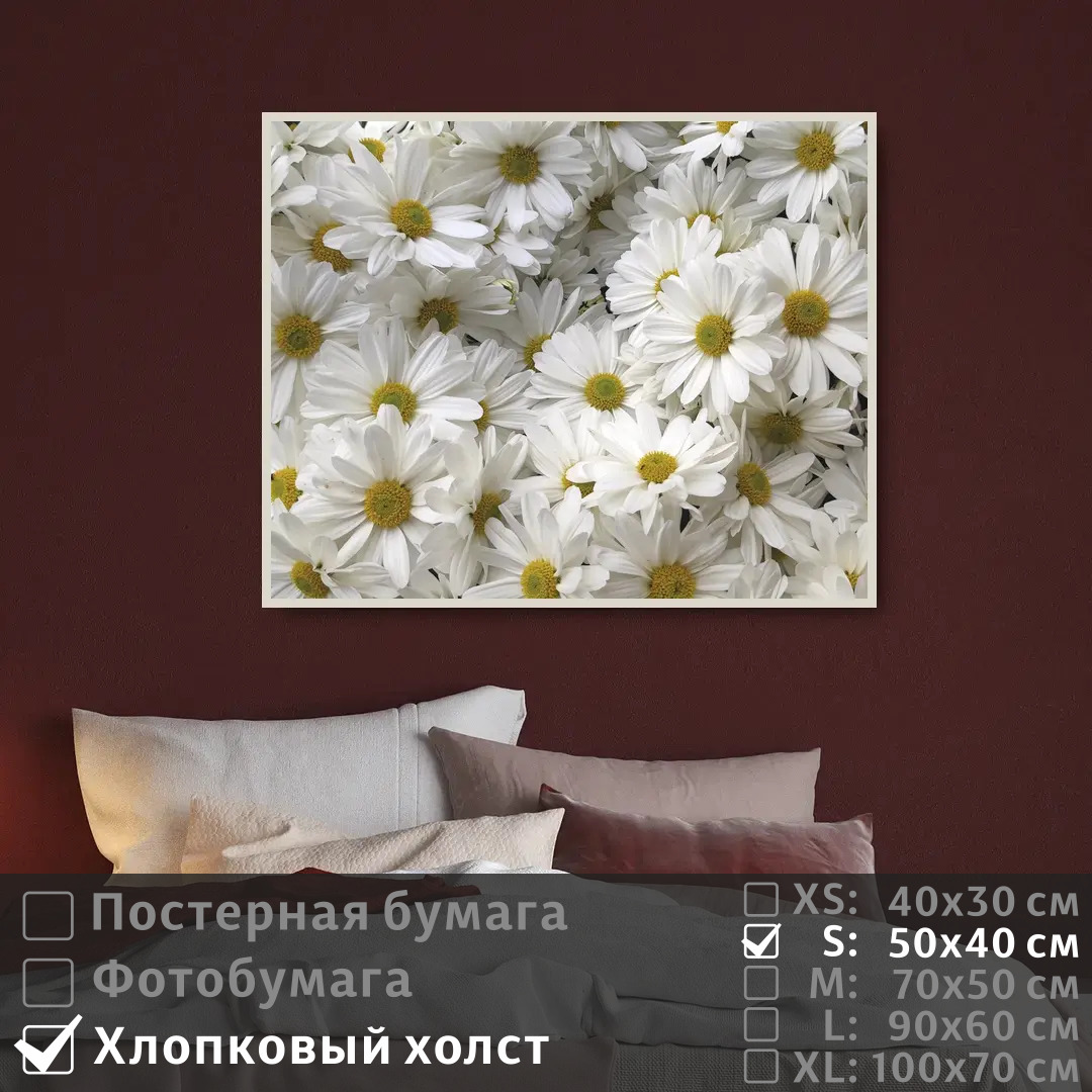 

Постер на холсте ПолиЦентр Белые цветы ромашки 50х40 см, БелыеЦветыРомашки
