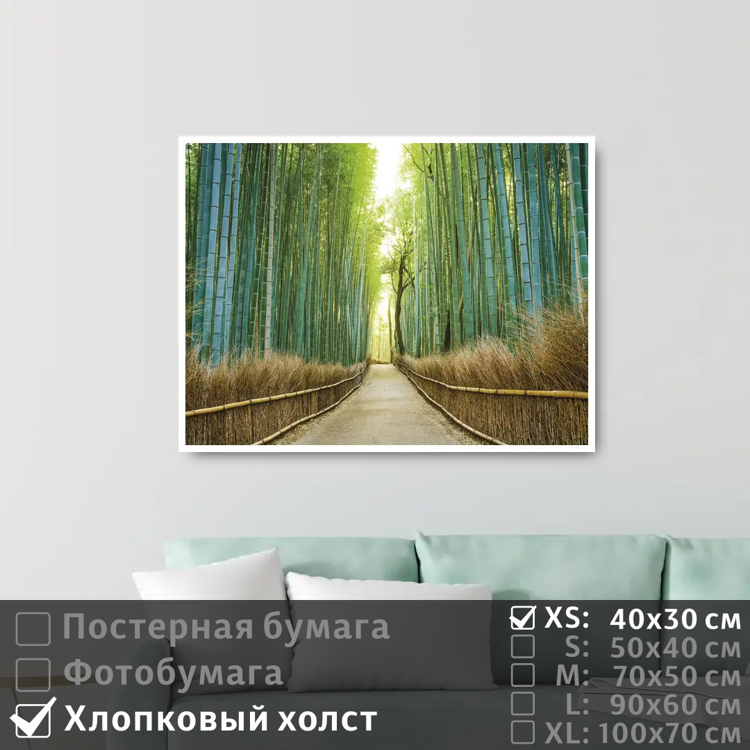 

Постер на холсте ПолиЦентр Бамбуковый лес в японии 40х30 см, БамбуковыйЛесВЯпонии