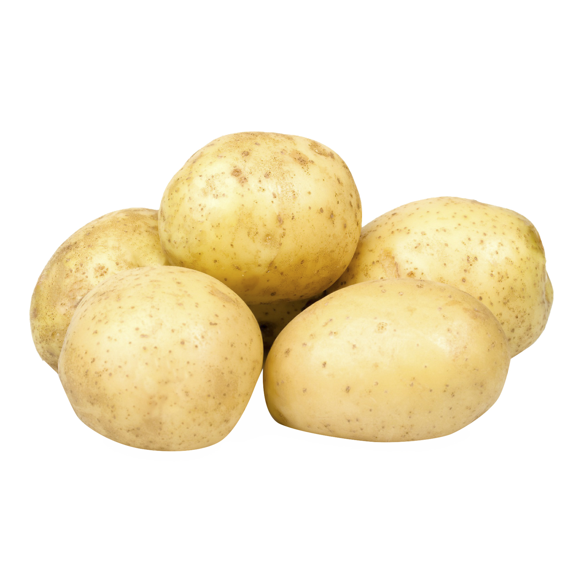 Купить картошку с доставкой. Картофель Тульская Нива. Картофель белый Египет ~500 г. Картофель для варки Тульская Нива 3кг. Картофель молодой, 1 кг.