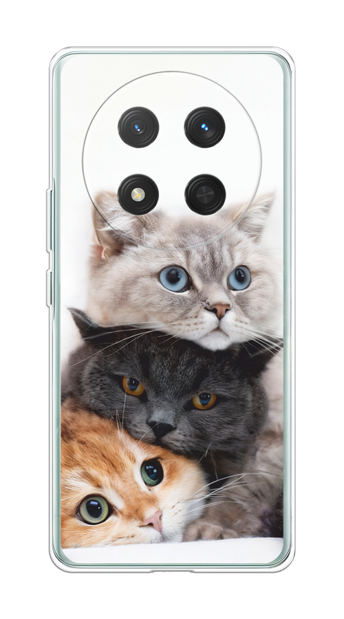 

Чехол на Honor X9C/X60 Pro Пушистые мордашки, Серый;черный;оранжевый, 6125350-1