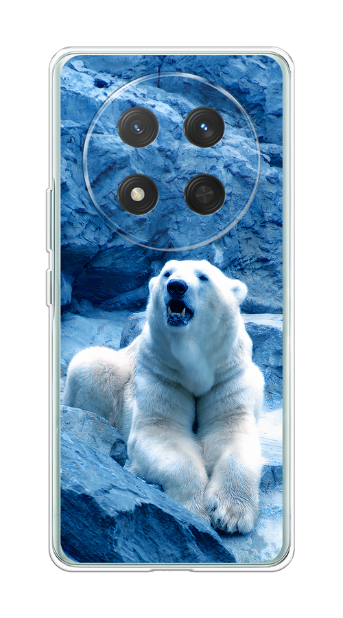 

Чехол на Honor X9C/X60 Pro Белый медведь, Голубой;белый, 6125350-1