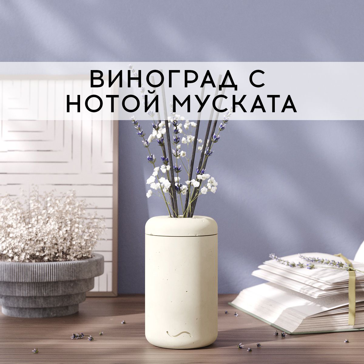 Аромадиффузор MUSKO HOME  100 мл Виноград и мускат в бетонной вазе Esther