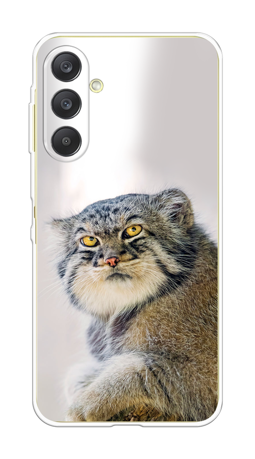 

Чехол на Samsung Galaxy A26 5G "Кот манул 1", Серый;белый;желтый, 2110750-1