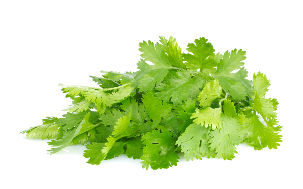 

Кресс Кориандр 1 кг