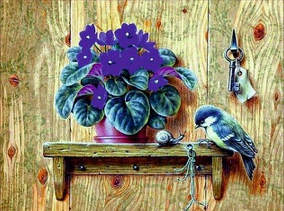 

Diy Алмазная вышивка Синичка и фиалки Diy-S-030, 48x36 см