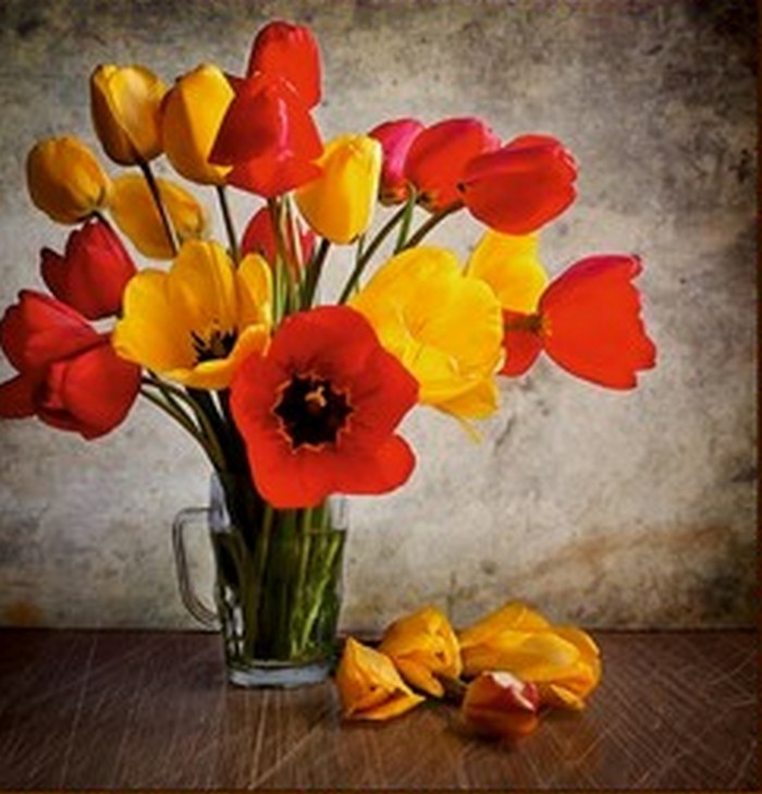 фото Diy алмазная вышивка тюльпаны красные и желтые diy-s-094, 48x48 см