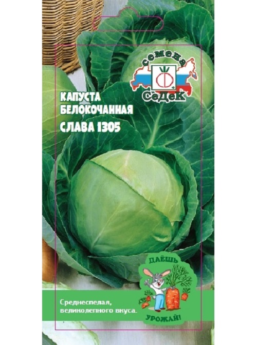 Капуста слава 1305 описание сорта. Капуста белокочанная Слава 1305. Семена капусты белокочанная СЕДЕК. Капуста БК Слава 1305.
