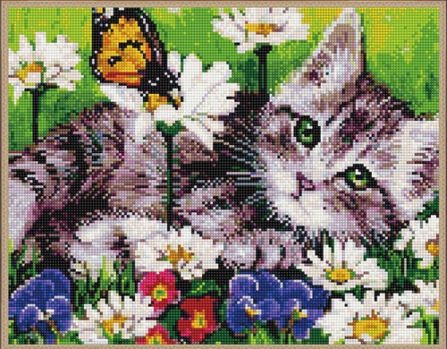 

PaintBoy Алмазная вышивка Котенок в ромашках VA497, 40x50 см