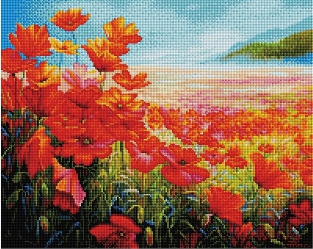 

PaintBoy Алмазная вышивка Маковое поле GF2210, 40x50 см