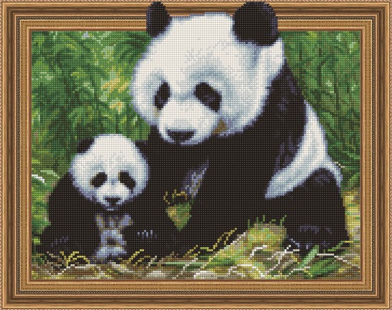 

PaintBoy Алмазная вышивка Панды в лесу TSGJ1261, 40x50 см