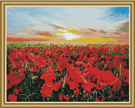 

PaintBoy Алмазная вышивка Рассвет над маковым полем VA351, 40x50 см