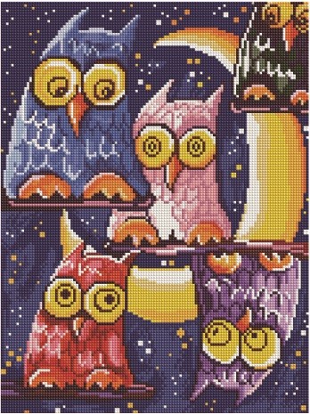 

PaintBoy Алмазная вышивка Совушки под луной EF154, 30x40 см