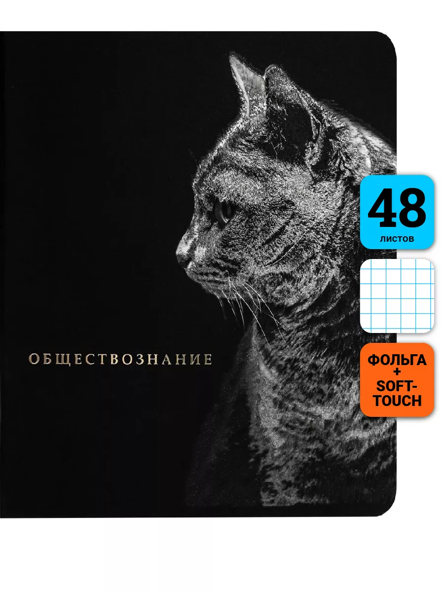 

Тетрадь предметная Обществознание, школьная, 48 листов, tetr-ysai33, Тетрадь в клетку