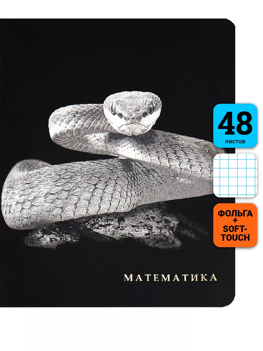 

Тетрадь предметная Матиматика, школьная, 48 листов, tetr-ysai39, Тетрадь в клетку