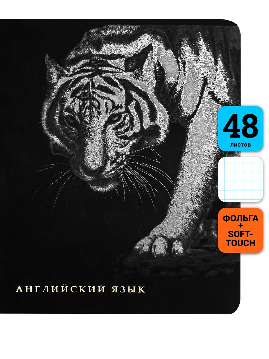 

Тетрадь предметная Английский Язык, школьная, 48 листов, tetr-ysai42, Тетрадь в клетку