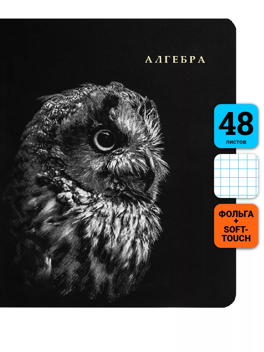

Тетрадь предметная Алгебра, школьная, 48 листов, tetr-ysai43, Тетрадь в клетку