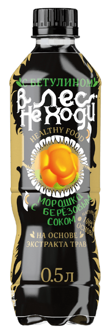 

Газированный напиток В лес не ходи Морошка с березовым соком 0,5 л