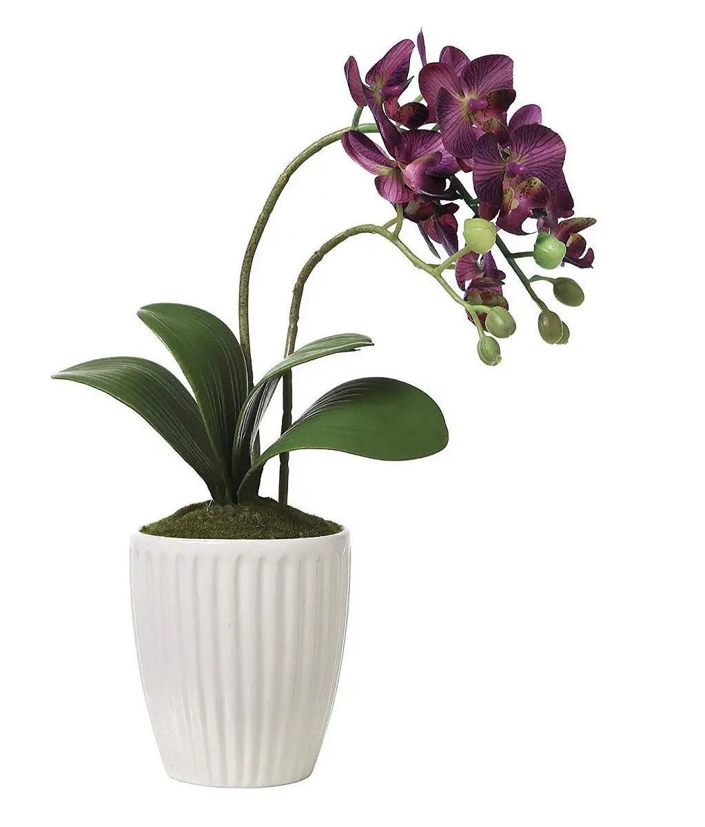 Орхидея купить нижний новгород в горшке. Орхидея в горшке. Искусственная Орхидея в горшке. Горшки для орхидей прозрачные. Кашпо для цветов орхидей.