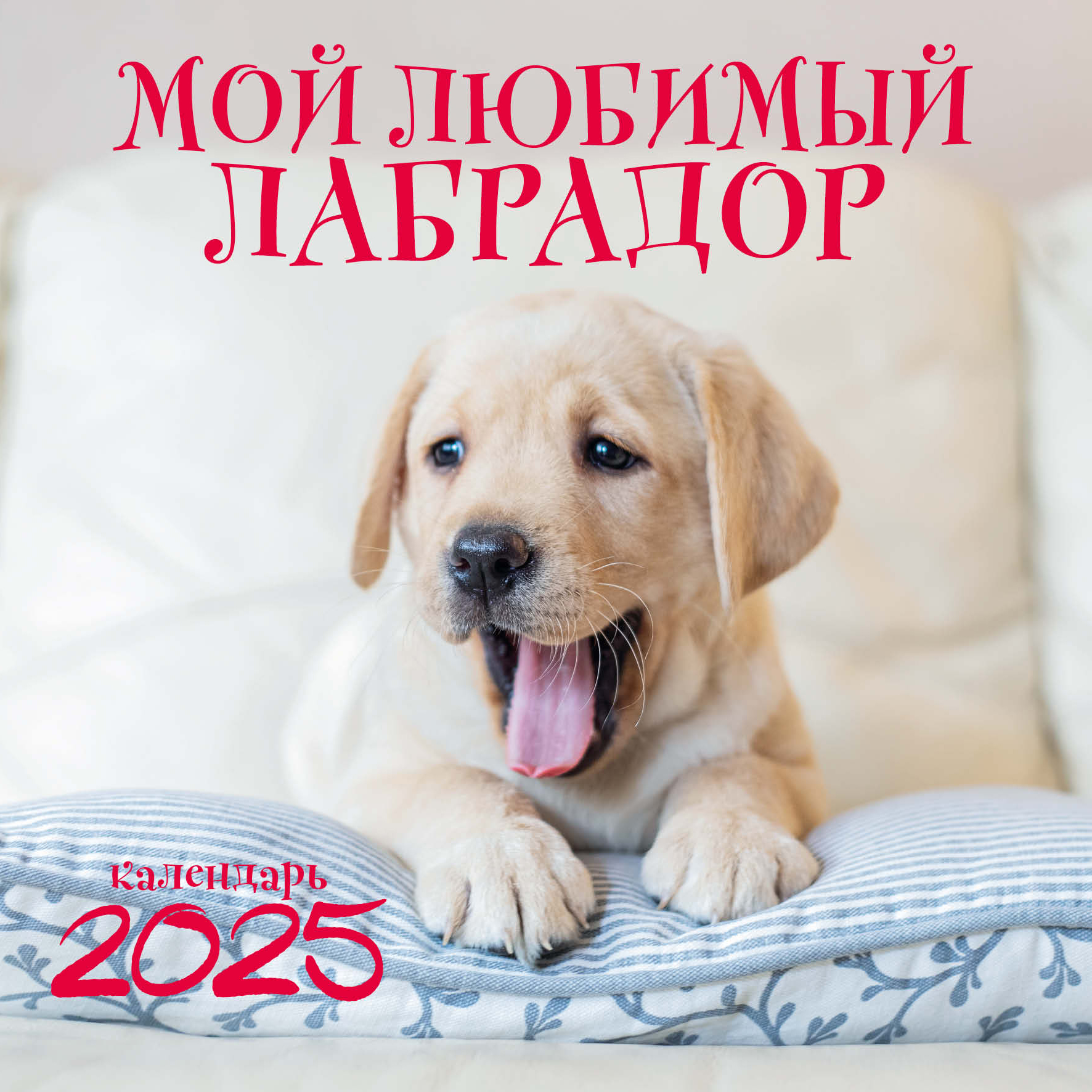 

Календарь настенный на 2025 год Эксмо Мой любимый лабрадор, 300х300 мм