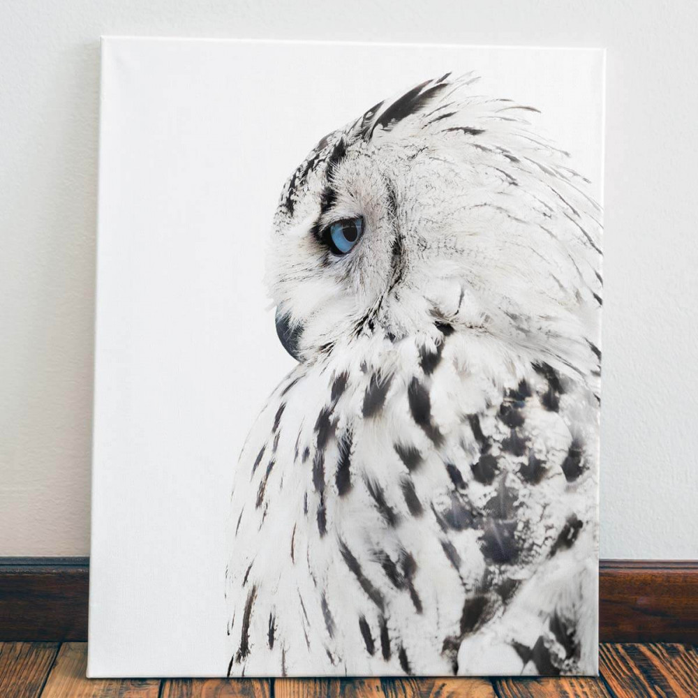 

Картина Red Panda Белоснежная сова40x60