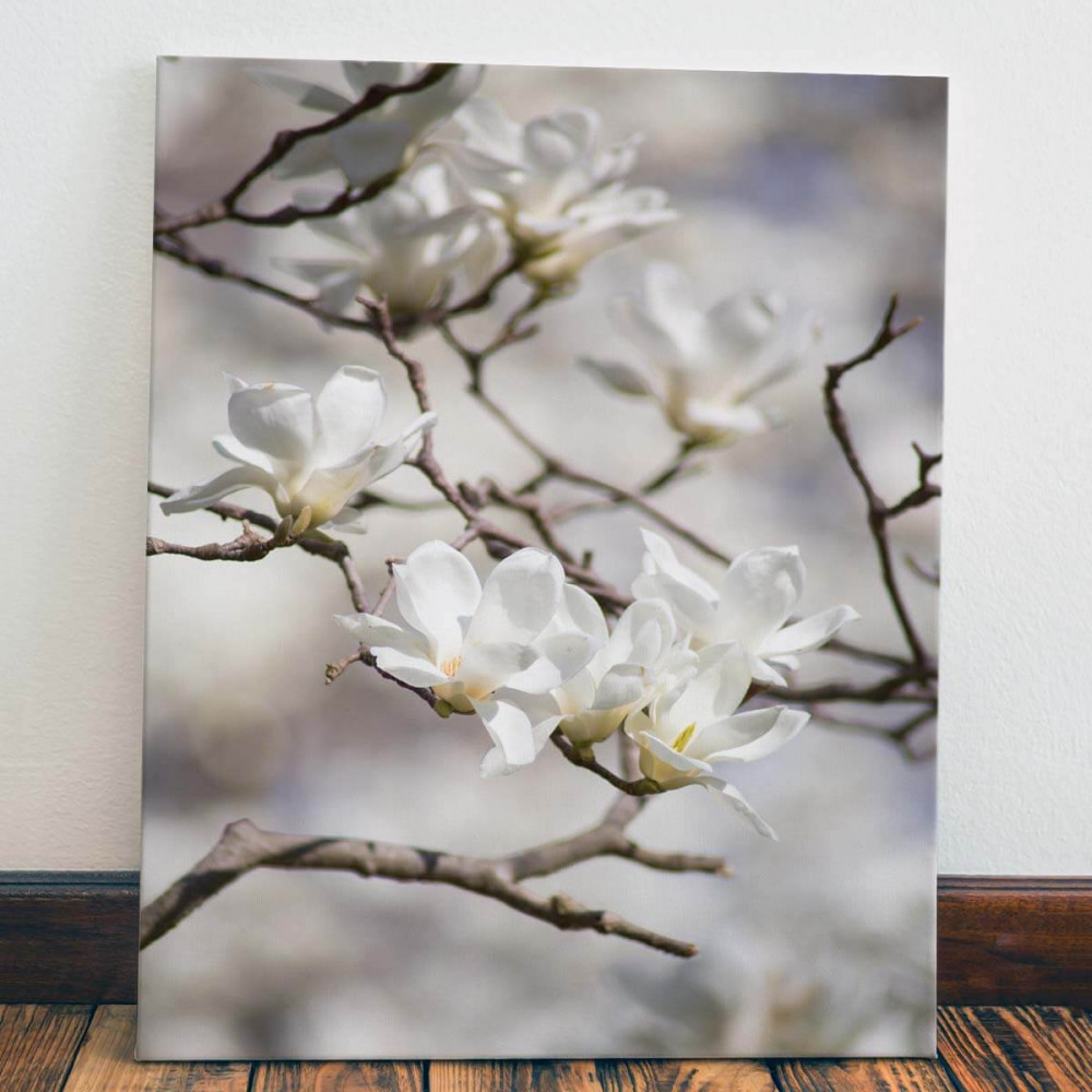 

Картина Red Panda Ветки с цветами40x60